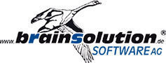 brainsolution Software AG
